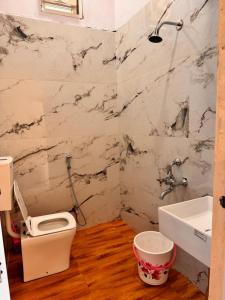 um banheiro com vaso sanitário e pia em The Backpackstack Hostels and Cafe em Ujjain