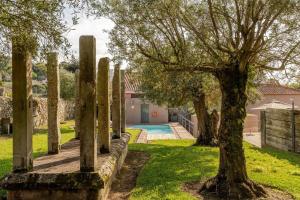 una fila di alberi in un cortile con piscina di Stone by the Sea - Mountain & Beach Retreat w/Pool a Viana do Castelo Altre 76 foto