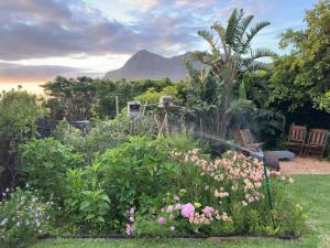 a garden with flowers and a mountain in the background at Noordhoek Wellness Pilates in Noordhoek