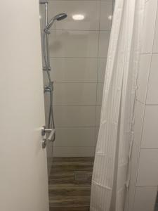 eine Dusche mit Duschvorhang im Bad in der Unterkunft Modernes Wohnerlebnis in bester Lage in Heilbronn