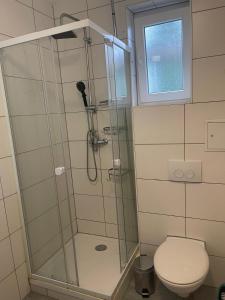 ein Badezimmer mit Dusche, Toilette und Fenster in der Unterkunft Modernes Wohnerlebnis in bester Lage in Heilbronn
