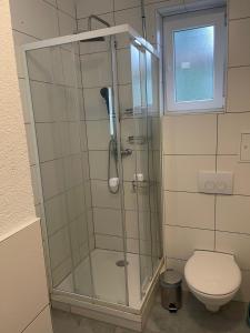 ein Badezimmer mit Dusche, Toilette und Fenster in der Unterkunft Modernes Wohnerlebnis in bester Lage in Heilbronn + 28 Fotos