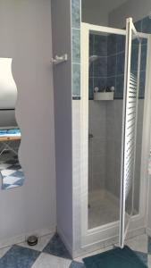 prysznic ze szklanymi drzwiami w łazience w obiekcie Appartement Vallée de la Risle w mieście Glos-sur-Risle
