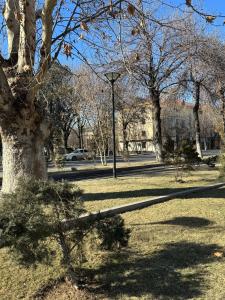 a park with a tree and a street light at 2к комнатная Квартира в центре размещение до 2х человек in Shymkent