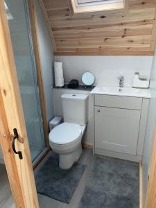 a small bathroom with a toilet and a sink at Starview by MirrieMöra in Holm of Maywick +13 photos