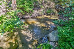 una corriente de agua con rocas en un bosque en Yosemite Creekside Retreat with spa/games/EV Charger and more, en Yosemite Forks