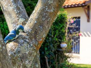 ein blauer Vogel, der auf der Seite eines Baumes thront in der Unterkunft Holiday Home L'Oiseau Bleu by Interhome in La Plaine-sur-Mer