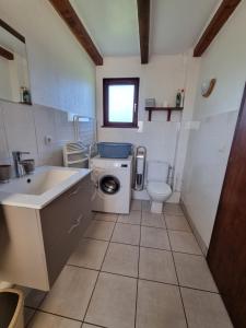a bathroom with a sink and a washing machine at La Mauselaine in Gerbépal