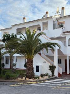 a palm tree in front of a building at Apartamento Florkin vacacional acogedor recién reformado con vistas al mar in Torrox