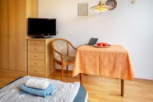 TV a/nebo společenská místnost v ubytování Ferienwohnung Adrion