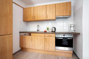 Kuchyň nebo kuchyňský kout v ubytování Ferienwohnung Adrion
