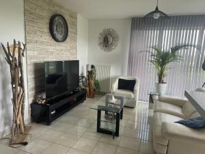 een woonkamer met een flatscreen-tv en een bank bij Les jardins de Disney in Ferrières-en-Brie
