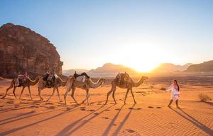 a woman walking a group of camels on the beach at Ayman camp in Wadi Rum +6 photos