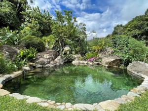 a pool of water with rocks in a garden at Charming Cosy Chirripó Mountain Riverfront Cottage in Canaán