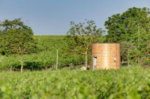 an orange silo in the middle of a field at Coup 2 Foudres in Saint-Jean-de-Blaignac