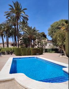 basen w ogrodzie z palmami w obiekcie Hotel Torre San Juan w mieście San Juan de Alicante