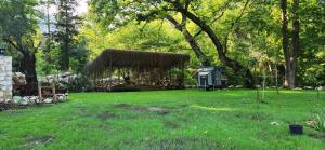 Imagen de la galería de Yusalis Garden Hotel, en Kemer 70 fotos más