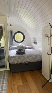 una camera con un letto e una finestra di Squirrels Wood Lodge, nr Glencoe, dog friendly ad Acharra