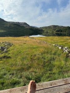 a persons foot sitting on a bench in a field at Wild Norwegian nature, between Preikestolen & Trolltunga in Sauda