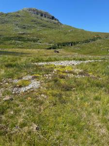 a field of grass with a mountain in the background at Wild Norwegian nature, between Preikestolen & Trolltunga in Sauda