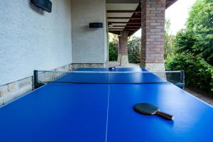 Πινγκ πονγκ στο Horizon Balaton ή εκεί κοντά