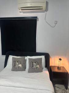 a bedroom with a bed with two pillows on it at Aqua black studio room in Lagos