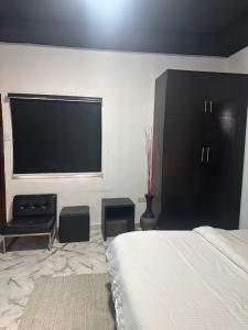 a bedroom with a bed and a flat screen tv at Aqua black studio room in Lagos