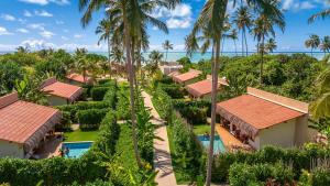 佩德拉斯港MONAN BOUTIQUE HOTEL的棕榈树和游泳池的度假村空中景致
