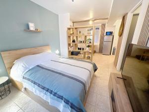 a bedroom with a large bed in a room at Studio Centre Ville Tarbes in Tarbes