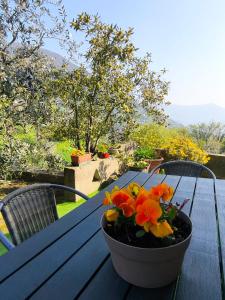 Ogród w obiekcie CasaDolcelago Marone Villa con Giardino Vista Lago Private Parking