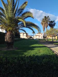 Vonkajšia záhrada v ubytovaní Casa Aigua Blanca Oliva