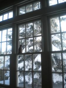 a window with a christmas tree seen through it at Fleetwood House Bed and Breakfast in Portland