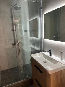 a bathroom with a shower and a sink and a mirror at Rams in Almaty