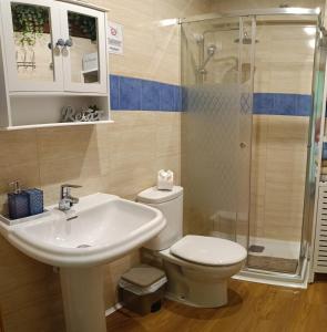 ein Badezimmer mit Waschbecken, Toilette und Dusche in der Unterkunft Mikaela Segunda-planta sin ascensor in El Burgo de Osma-Ciudad de Osma