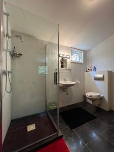 a bathroom with a shower and a toilet and a sink at Villa de Nachtegaal in Naarden +31 photos
