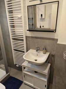 une salle de bain avec un lavabo et un miroir dans l'établissement Gemütliche 2 Zim Wohnung mit Fahrradstellplätzen, à Coblence