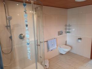 a bathroom with a shower and a toilet at 3 Zimmer 1OG 100qm Wintergarten Dachterrasse super Badezimmer in Tangstedt +6 photos
