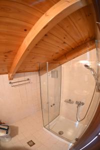 una doccia con una porta in vetro in un bagno di Studio Gio in Zakynthos City a Città di Zante
