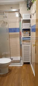 a bathroom with a shower and a toilet at Mikaela Segunda-planta sin ascensor in El Burgo de Osma