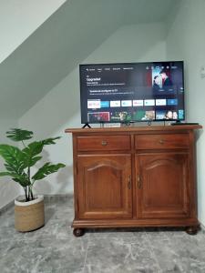 a television on top of a wooden cabinet with a potted plant at Casa Lucía - Caminito del rey in Valle de Abdalagís