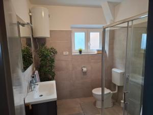 a bathroom with a toilet and a sink and a shower at Slanica Murter MATE in Murter