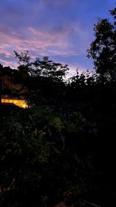 a silhouette of a tree with the sunset in the background at La cabane des amoureux du jardin in Barjols