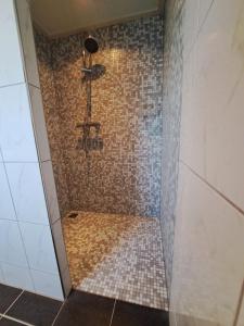 a bathroom with a shower with a tiled wall at Sweltsje in Sprong +2 photos