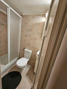 a small bathroom with a toilet and a shower at Apartment Stepen in Trstenik +2 photos