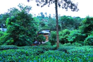 Giardino di Green view suits