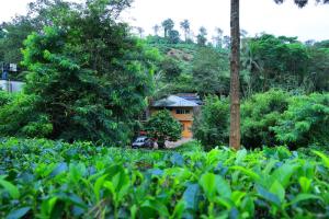 una casa in mezzo a una foresta di Green view suits a Vythiri