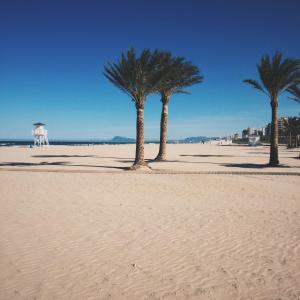 three palm trees on a sandy beach near the ocean at Hotel Albatros in Gandía