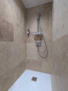 a shower with a shower head in a bathroom at Élégant et calme avec clim et jardin privé - Appartement Terracotta in Thonon-les-Bains +8 photos