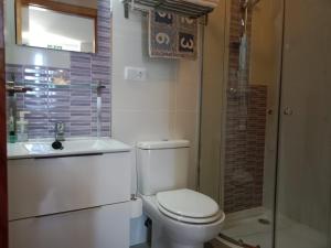 a bathroom with a toilet and a sink and a shower at Areos de Cabío in A Pobra do Caramiñal +18 photos