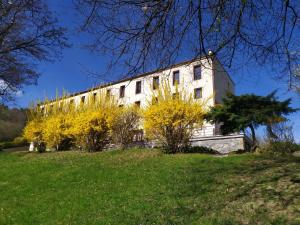 Ein Garten an der Unterkunft Penzión DRUŽBA Bojnice